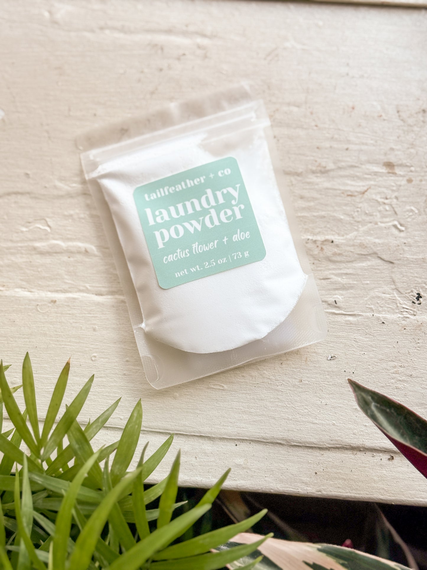 Cactus Flower + Aloe | Mini Laundry Detergent