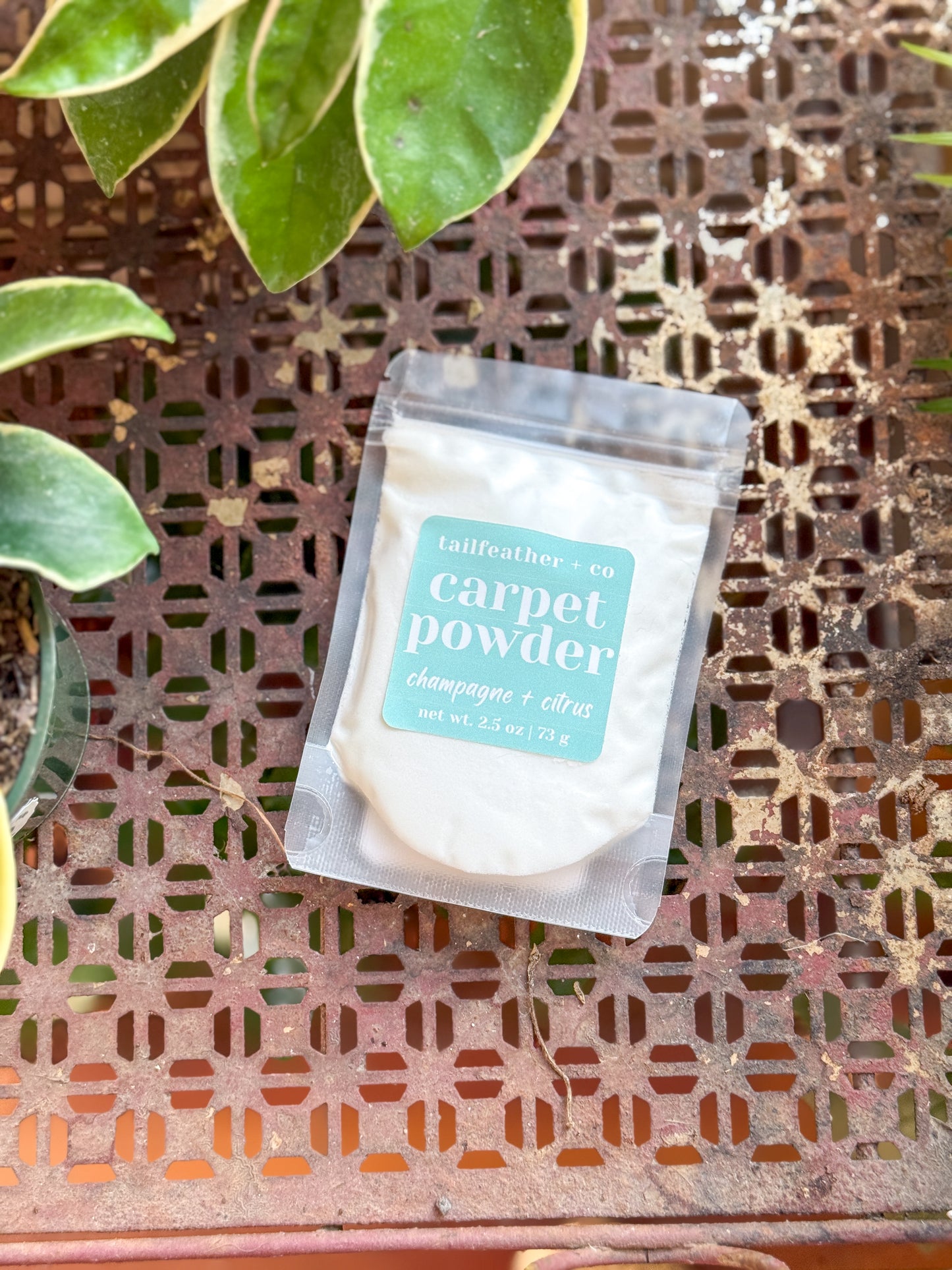Champagne + Citrus | Mini Carpet + Upholstery Powder