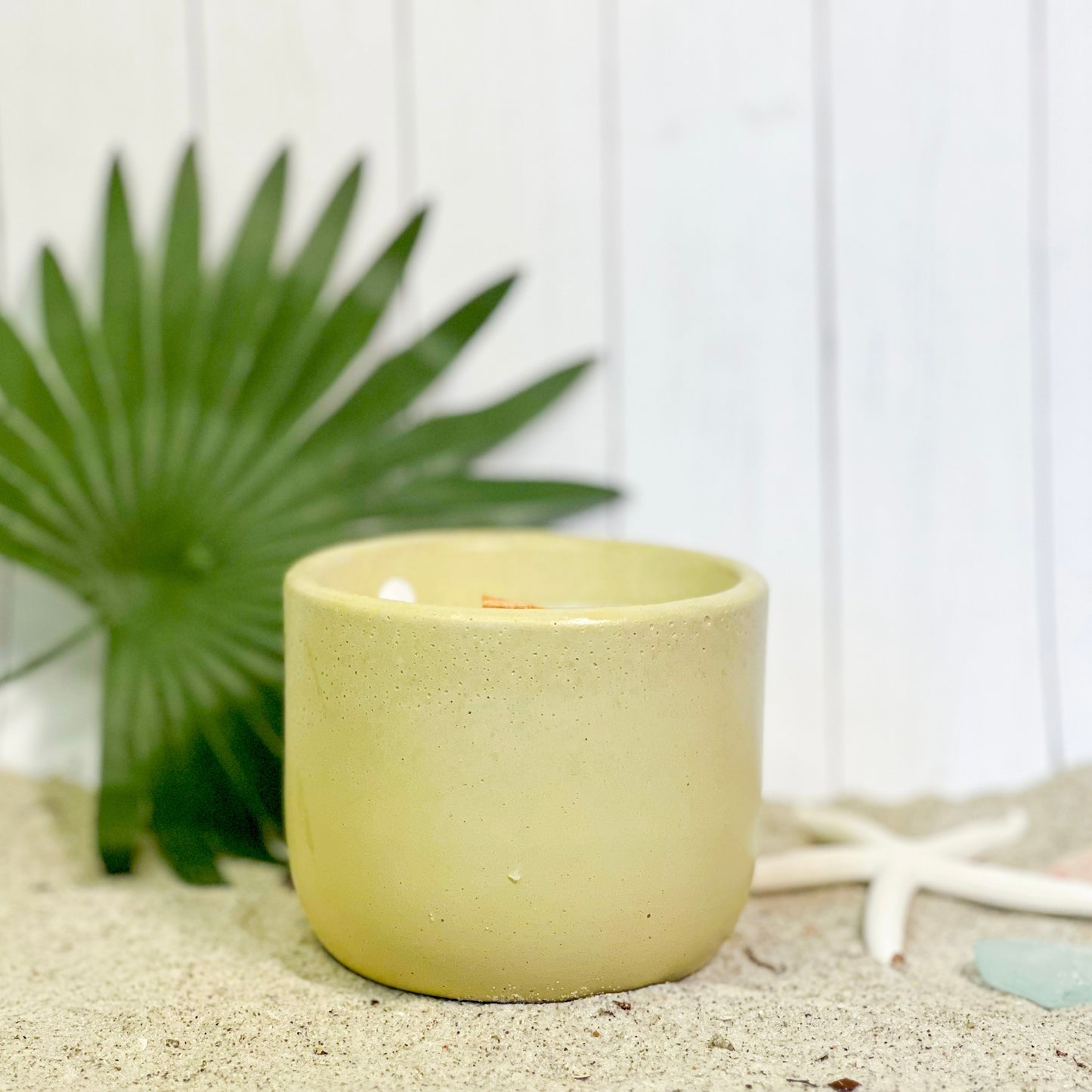 Champagne + Citrus Candle | Signature Collection