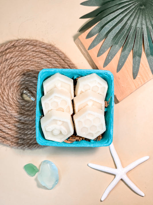 Driftwood + Amber | Wax Melts | Signature Collection