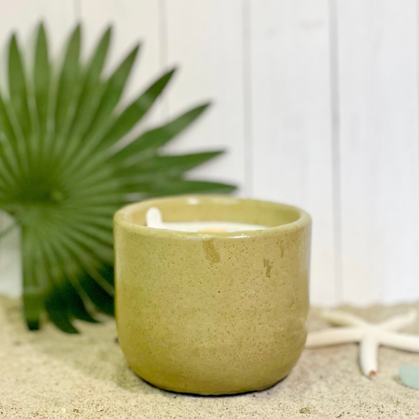 Cactus Flower + Aloe Candle | Signature Collection