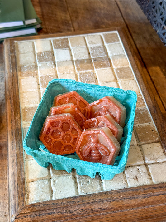 Pumpkin + Brown Sugar | Wax Melts | Fall Collection
