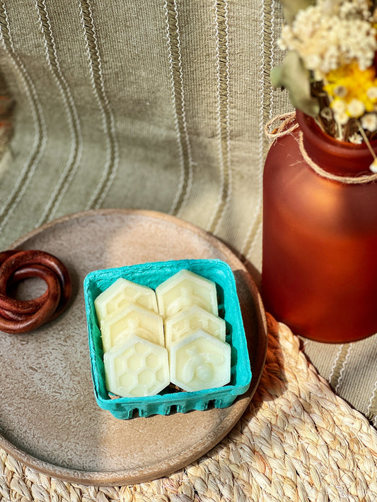 Smoked Tobacco + Leather | Wax Melts | Fall Collection