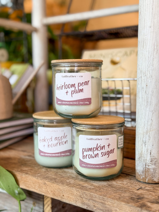 Pumpkin + Brown Sugar Candle | Fall Collection