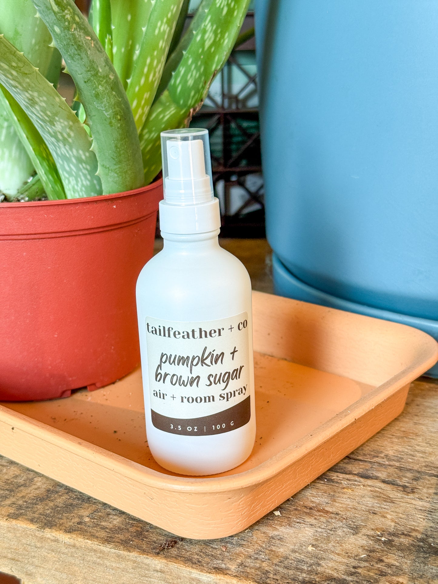 Pumpkin + Brown Sugar | Air + Room Spray | Fall Collection
