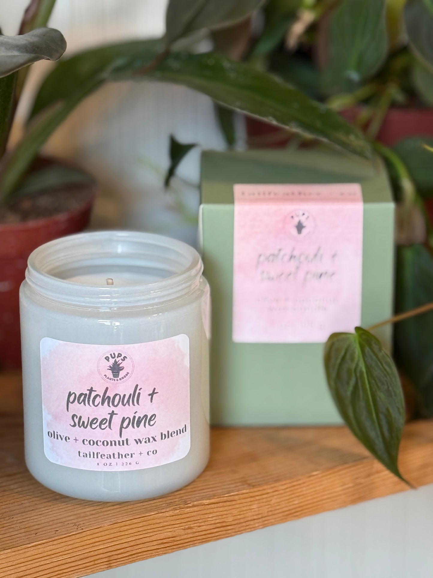 Patchouli + Sweet Pine | 8oz Candle | Pups Collection