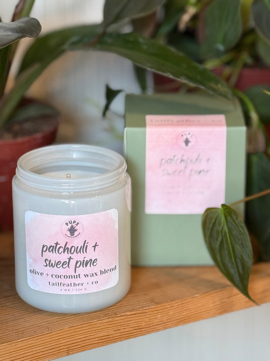 Patchouli + Sweet Pine | 8oz Candle | Pups Collection