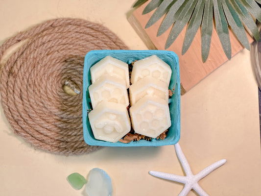 Toasted Coconut + Lime | Wax Melts | Summer Collection